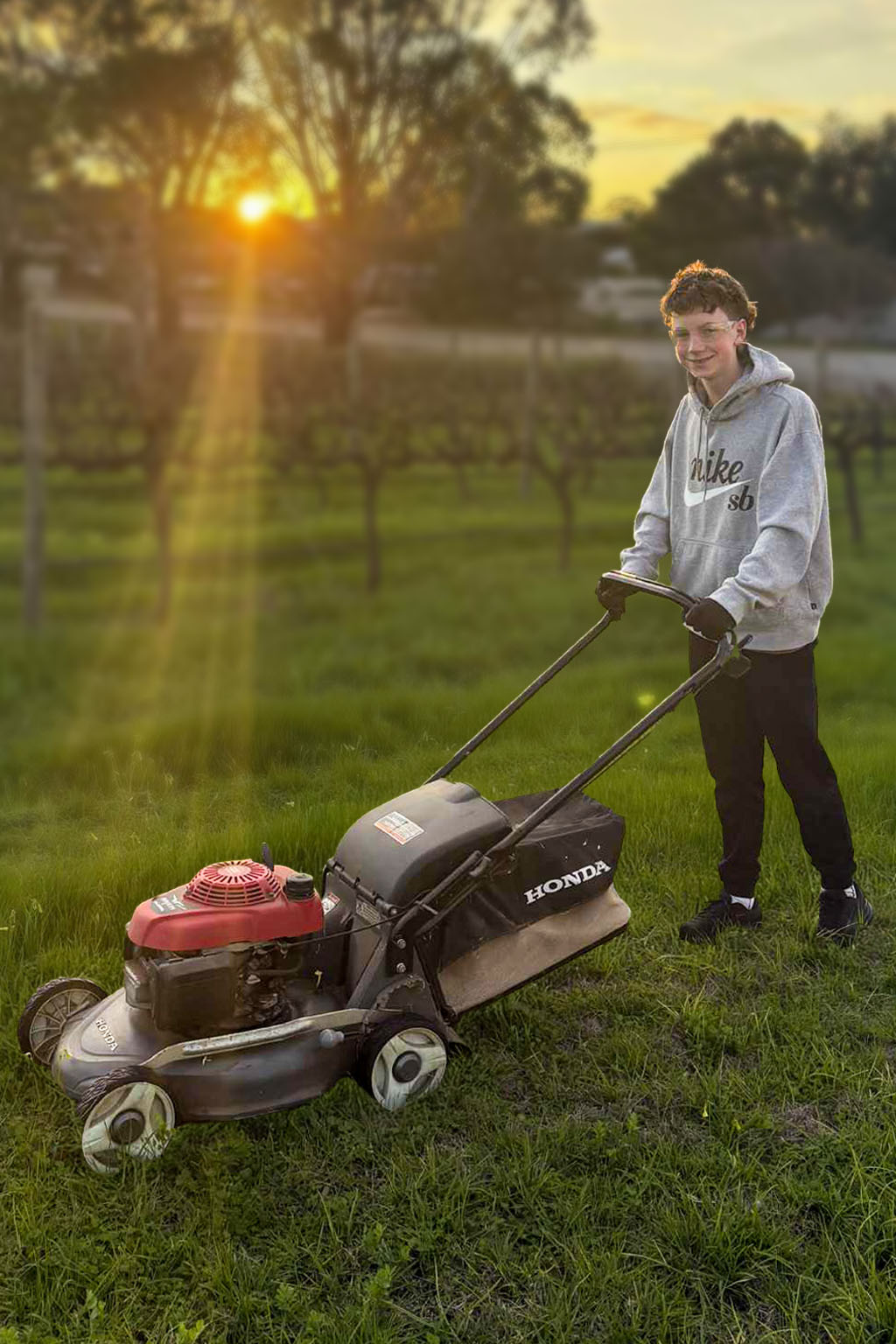 Tasman Yeoman - Local Lawn Care Expert